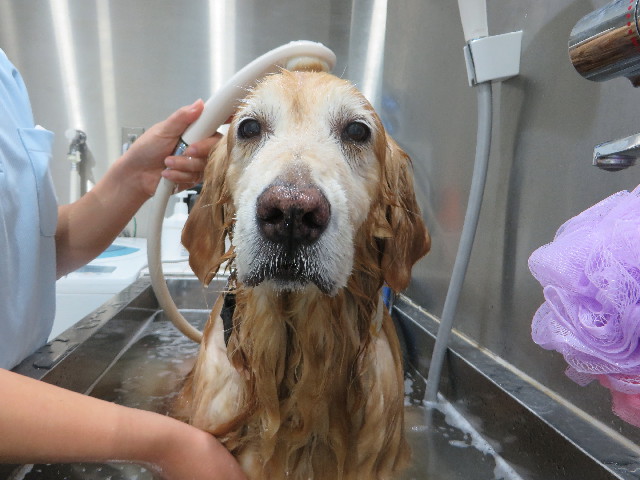 ファイル 5741-5.jpg