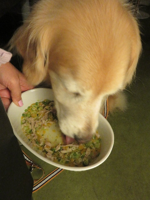 ファイル 5743-2.jpg