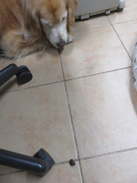 ファイル 5746-2.jpg