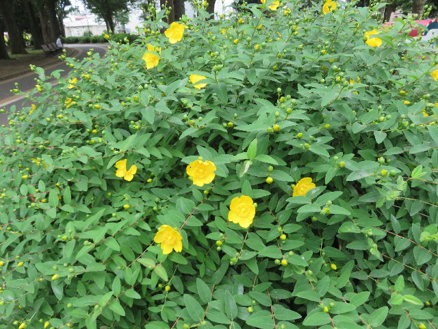 ファイル 5746-5.jpg