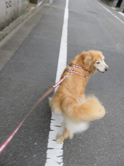 ファイル 5747-1.jpg