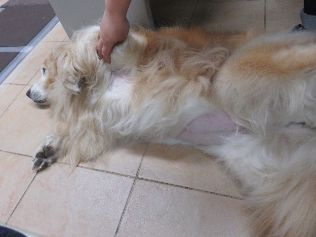 ファイル 5747-5.jpg