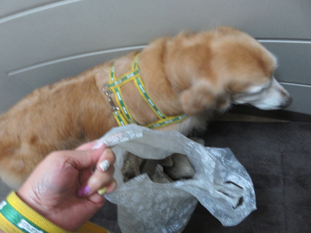 ファイル 5748-1.jpg