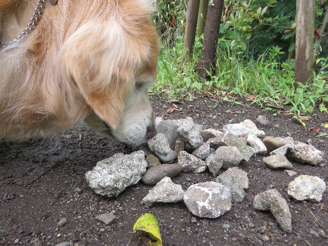 ファイル 5748-2.jpg