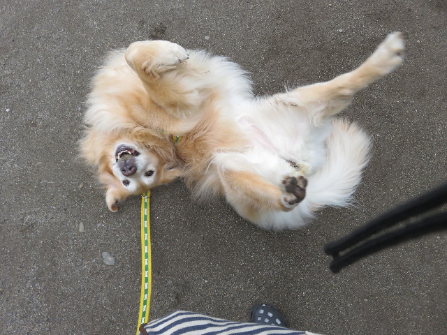 ファイル 5748-3.jpg