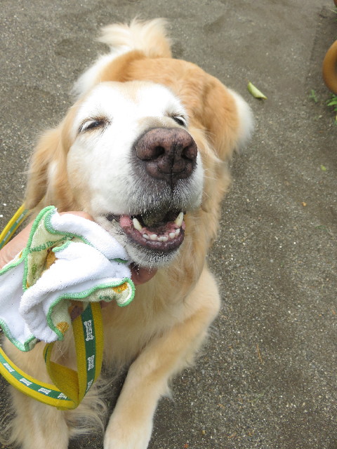 ファイル 5748-4.jpg