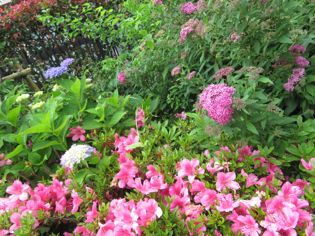 ファイル 5749-2.jpg