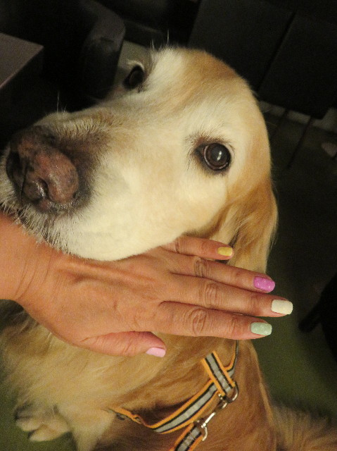 ファイル 5749-4.jpg