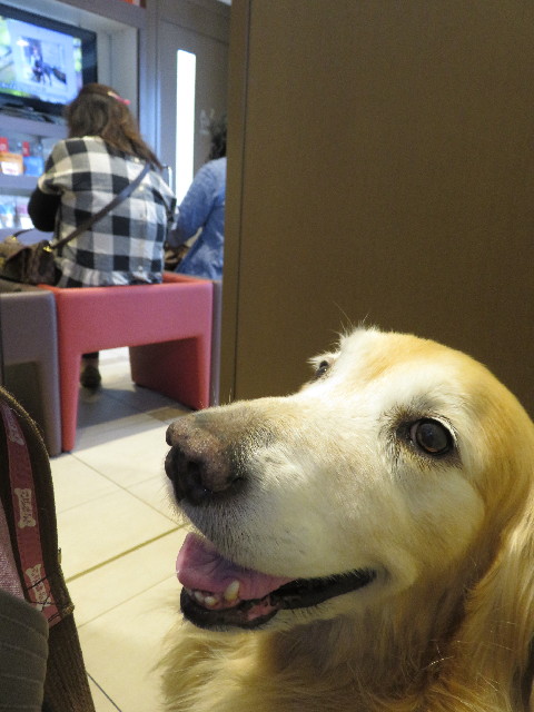 ファイル 5750-1.jpg