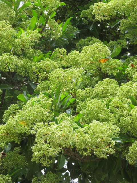 ファイル 5752-2.jpg