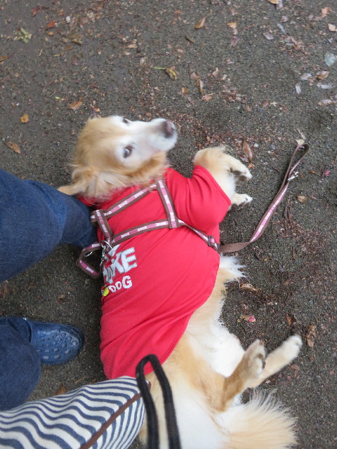 ファイル 5753-2.jpg