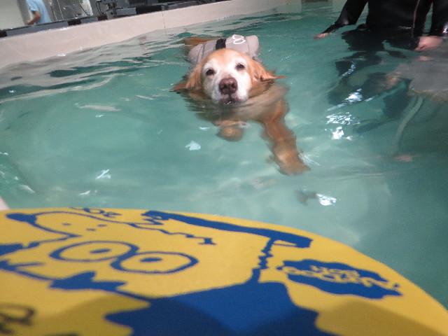 ファイル 5754-4.jpg