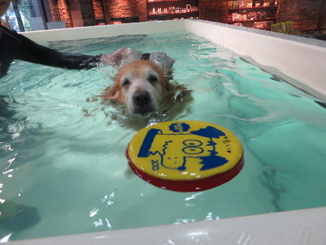 ファイル 5754-5.jpg