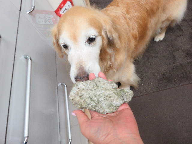 ファイル 5755-5.jpg