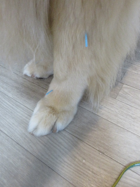 ファイル 5757-3.jpg