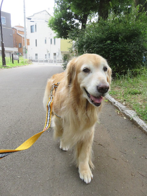 ファイル 5757-5.jpg