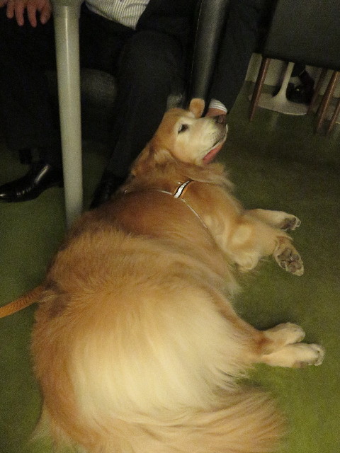 ファイル 5758-4.jpg