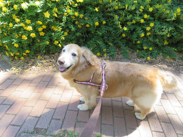 ファイル 5759-2.jpg