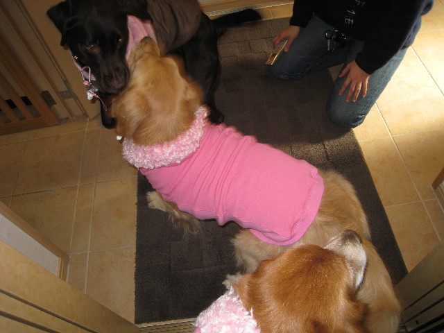 ファイル 576-1.jpg