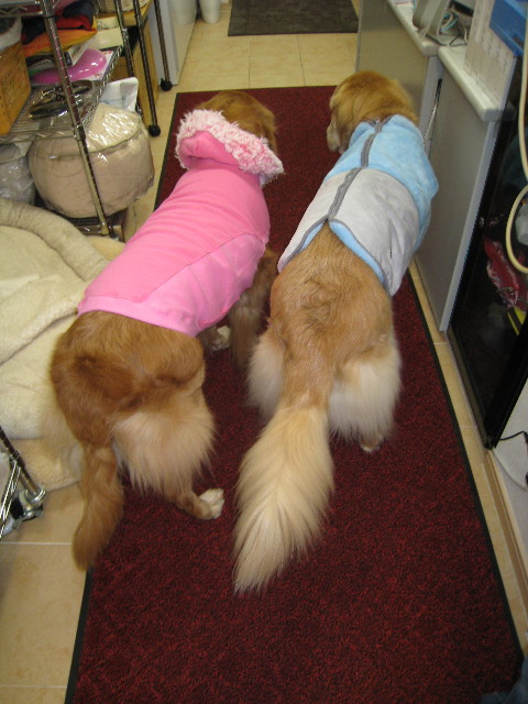 ファイル 576-5.jpg