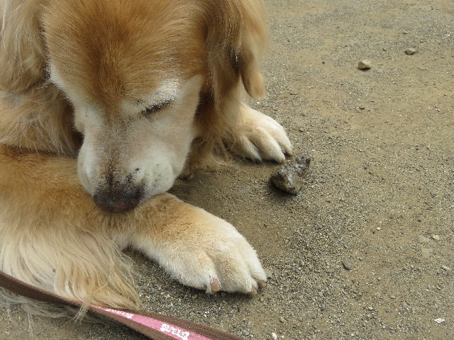 ファイル 5764-3.jpg