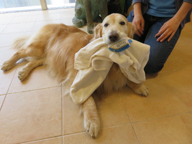 ファイル 5764-5.jpg