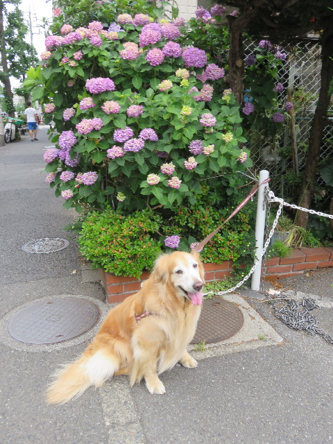 ファイル 5766-4.jpg