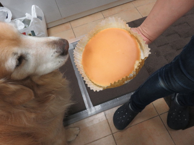 ファイル 5767-1.jpg