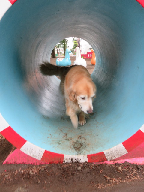 ファイル 5768-3.jpg