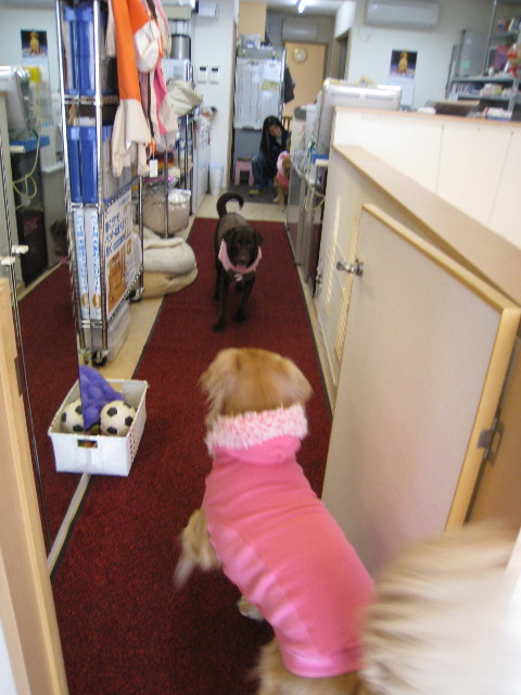 ファイル 577-3.jpg