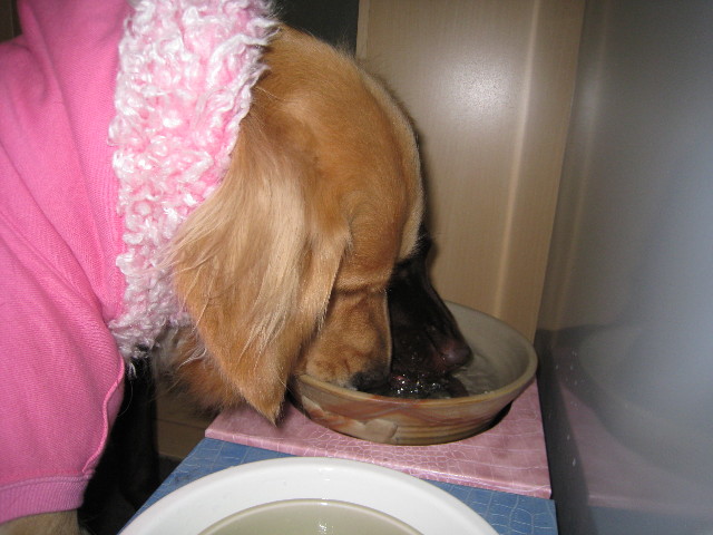 ファイル 577-5.jpg