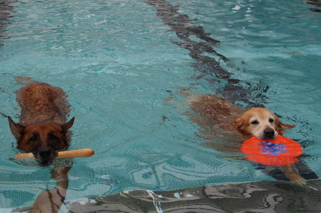 ファイル 5772-4.jpg