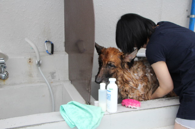 ファイル 5774-3.jpg