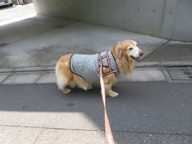 ファイル 5777-1.jpg