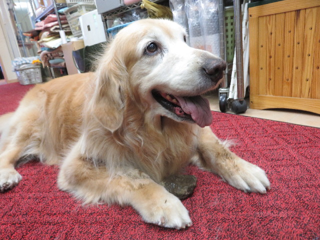 ファイル 5778-5.jpg