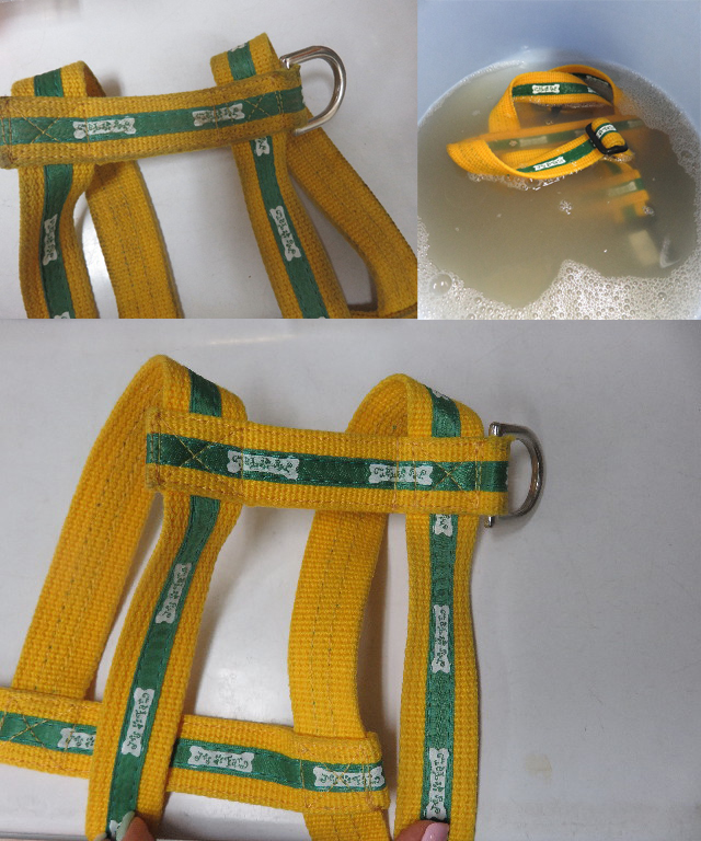 ファイル 5779-3.jpg