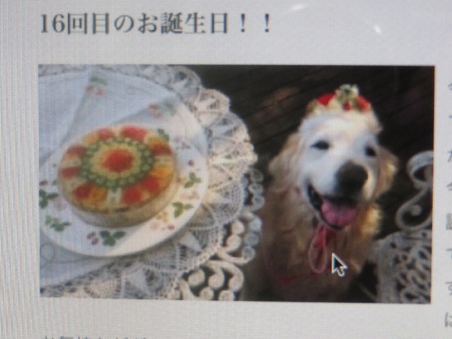 ファイル 5780-3.jpg