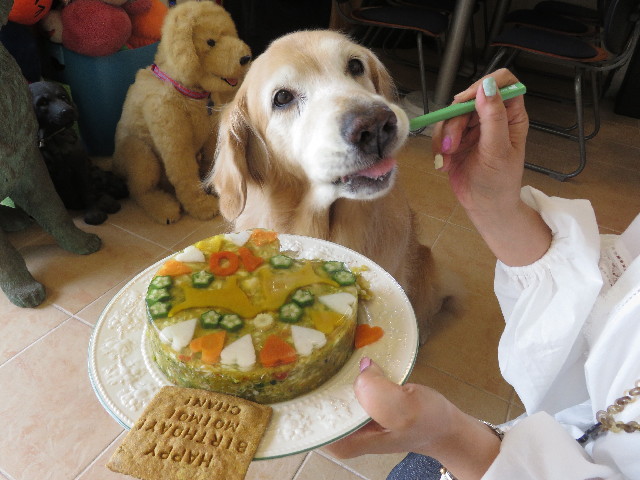 ファイル 5780-5.jpg