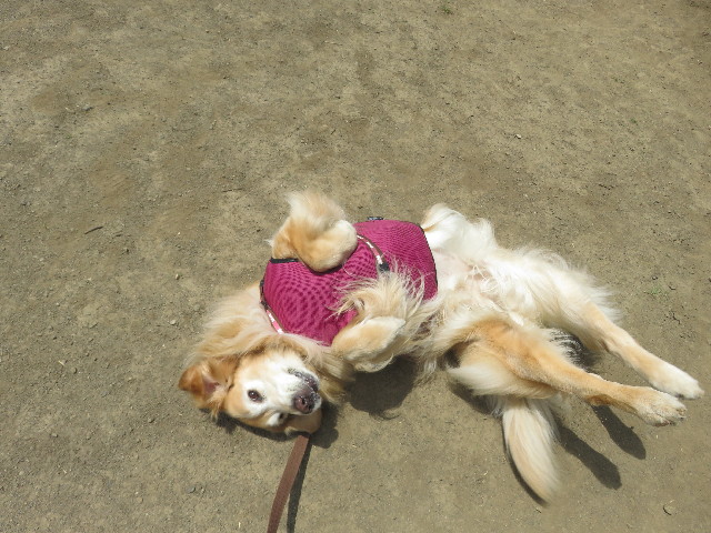 ファイル 5781-1.jpg