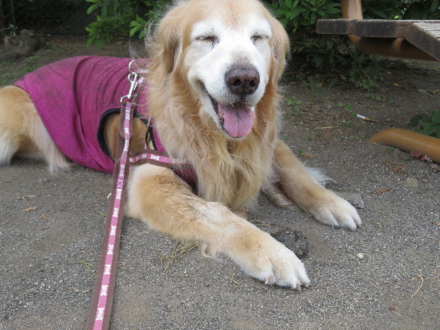 ファイル 5781-2.jpg