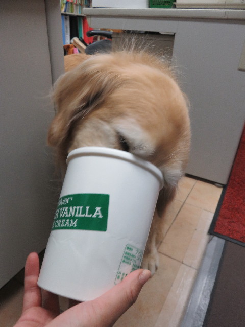 ファイル 5781-3.jpg