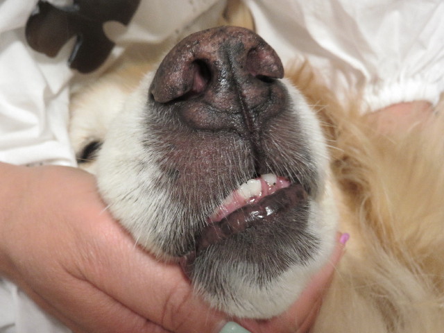 ファイル 5781-5.jpg