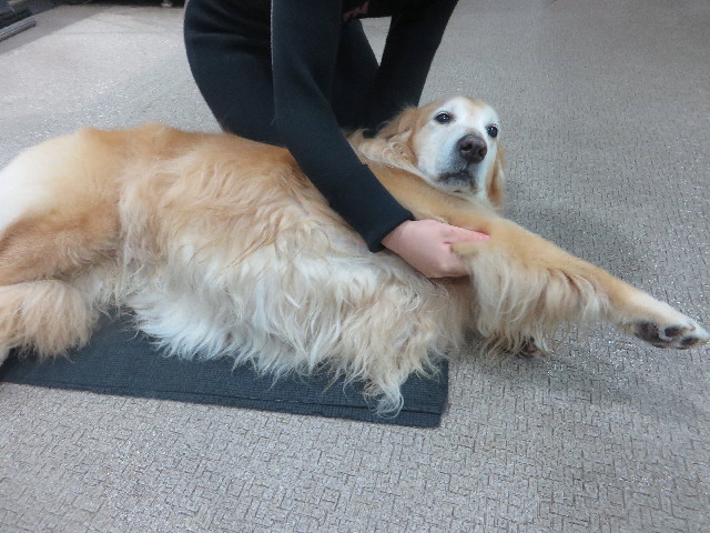 ファイル 5783-1.jpg