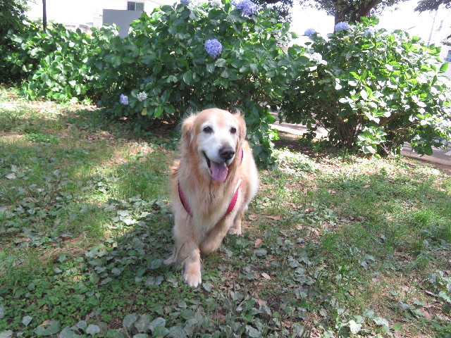 ファイル 5784-3.jpg