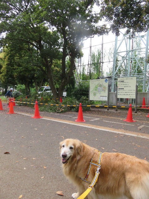 ファイル 5785-4.jpg