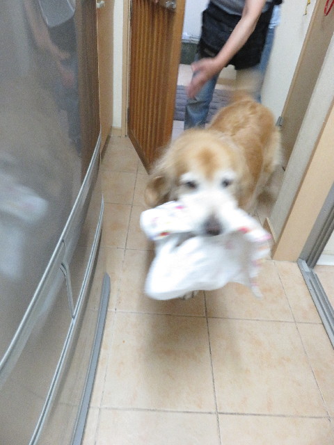 ファイル 5789-5.jpg