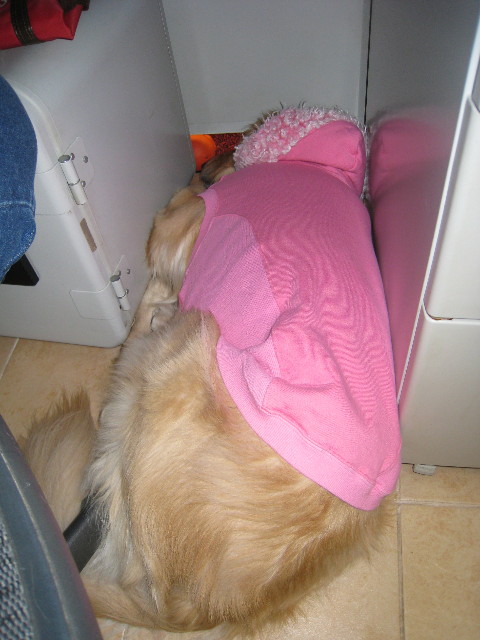 ファイル 579-4.jpg