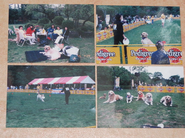 ファイル 5792-3.jpg