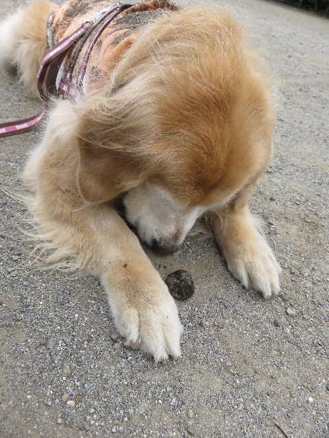 ファイル 5793-3.jpg