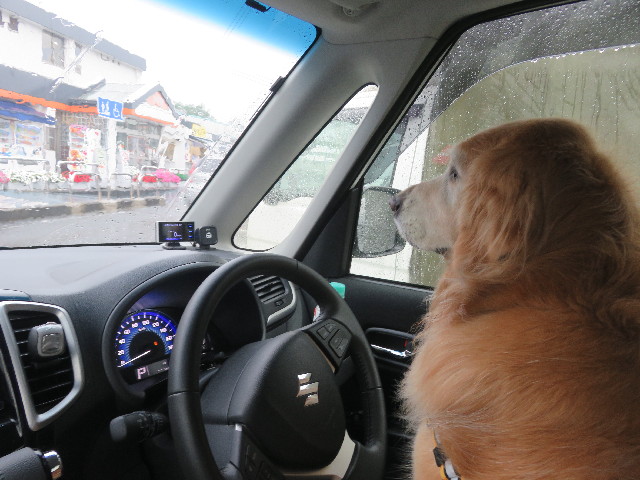 ファイル 5795-1.jpg